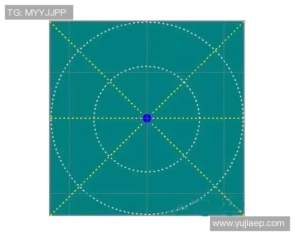 羽毛球器材网站全面解析选购技巧与使用指南助你提升球技